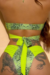 Snake Cut Out Full Piece