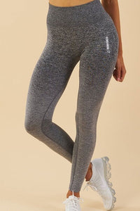 Ombre Gym Tights - Posh Body Babe - Gym Wear - Online Store