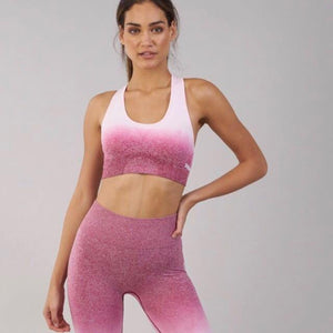 Seamless Ombre Set - Posh Body Babe - Gym Wear - Online Store