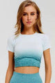 Seamless Crop - Posh Body Babe - Gym Wear - Online Store