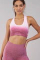 Ombre Sports Bra - Posh Body Babe - Gym Wear - Online Store